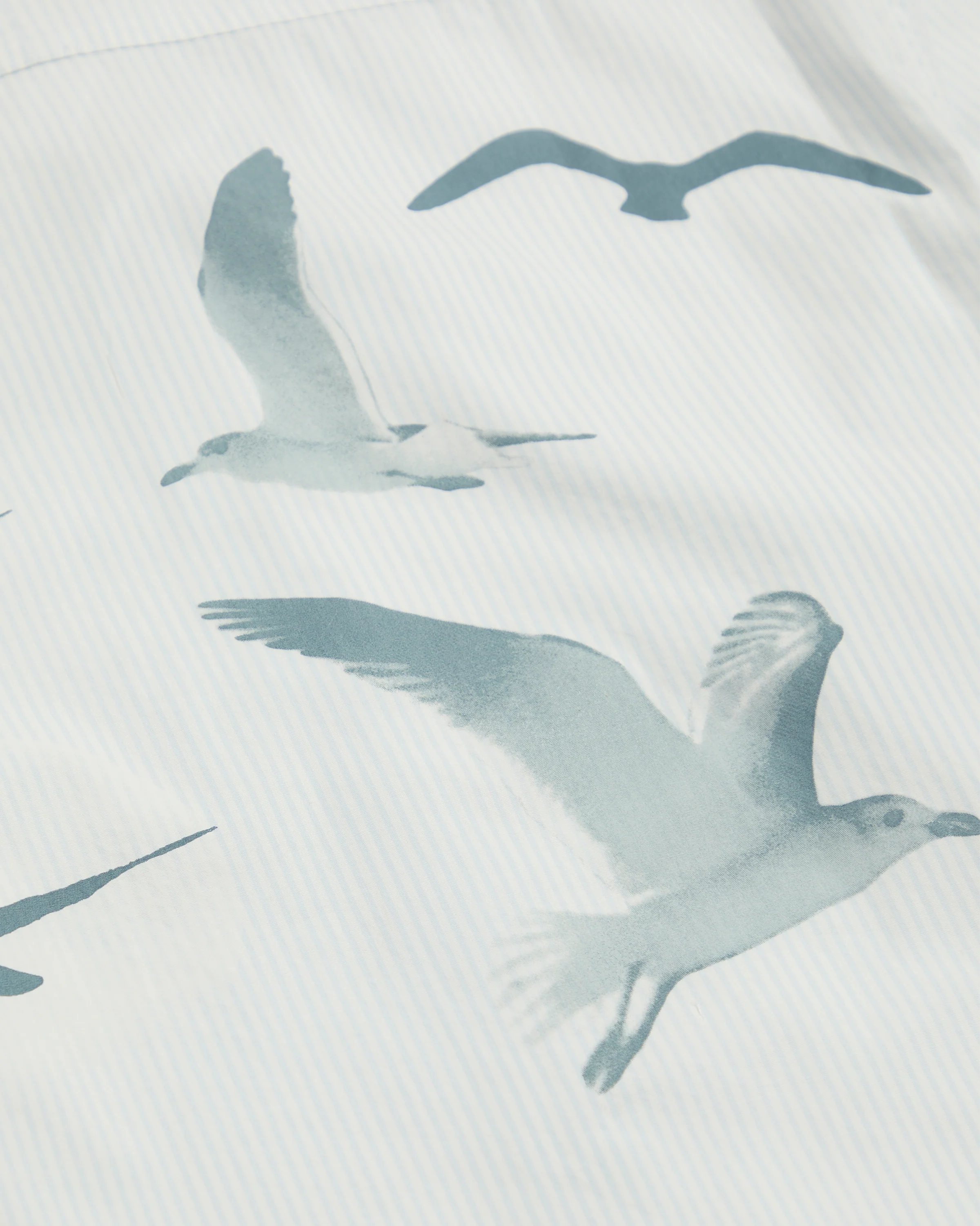 1989 (Taylor’s Version) Seagull Blue Stripe Poplin Shirt - Image 11